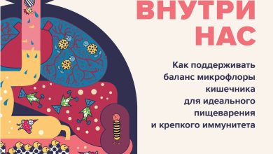 Photo of — Как поддерживать пищеварение