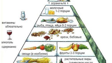 Photo of — Правильное питание для организма